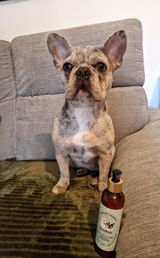 Charline review photo