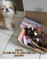 Brigitte review photo