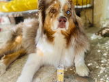 Lilou review photo