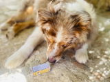 Lilou review photo