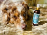 Lilou review photo