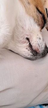Mymi et Lola review photo