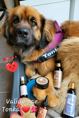 Alix&Tonka review photo