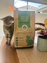 Natural Clumping Cat Litter - Tofu & Matcha | 1 x bag (4.7kg) | Vet developed