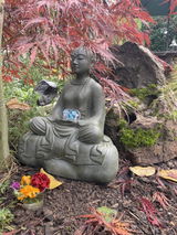 Yushin review photo