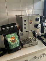 Gonzalo Alvarez ibacache review photo
