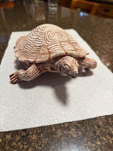 Sue D. review photo