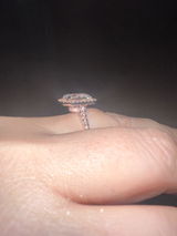 Liz - South Carolina, USA review photo