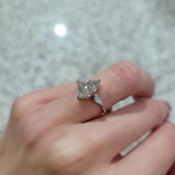 FV review photo