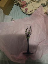 Alyssa Hardy review photo