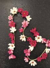 Pallavi review photo