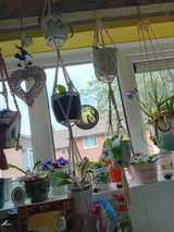 Dianne Vernalls-Tucker review photo