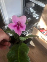 Paul Beddows review photo