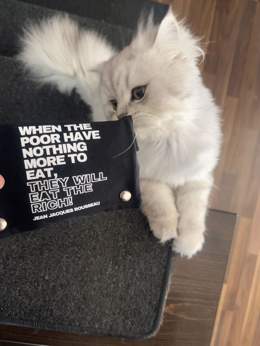 TT11.8 Tabacco pouch, eat the rich