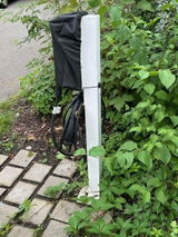 D.S. review photo