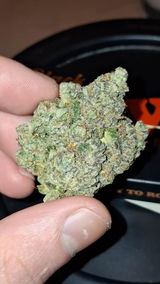 Lboy review photo