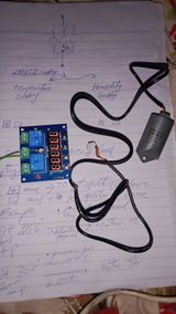 U.R. review photo