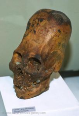 Hammad review photo