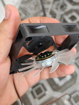 Ehsan Shah review photo