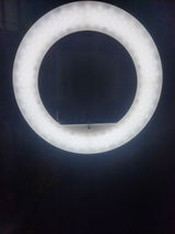 Piyali pal review photo