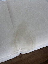Claudia Berg review photo