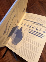 Ara Korab-Karpińska Żeleński review photo
