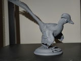 Howard review photo