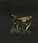 Sebastian Altmeyer review photo
