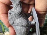 Paolo review photo