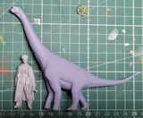 Paolo review photo