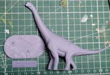 Paolo review photo