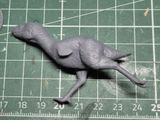 Paolo review photo