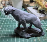 Paolo review photo