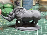 Paolo review photo