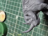 Paolo review photo