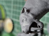 Paolo review photo