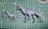 Paolo review photo