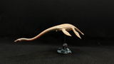 Sebastian Altmeyer review photo