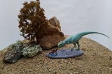 V. review photo
