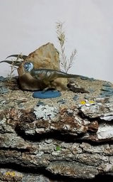 V.W. review photo
