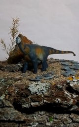 V.W. review photo