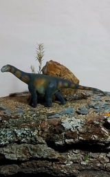 V.W. review photo