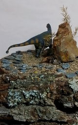 V.W. review photo