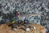V.W. review photo