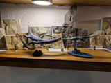 Florian review photo