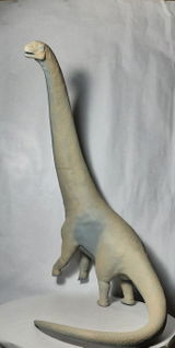V.W. review photo