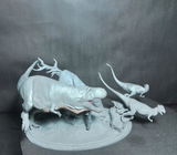 V.W. review photo