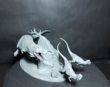 V.W. review photo