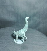 V.W. review photo