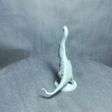 V.W. review photo